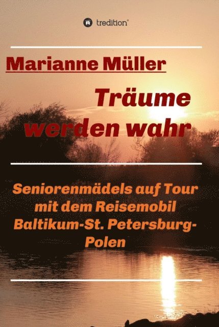 Marianne Muller - Träume werden wahr, Band 2, E-bok