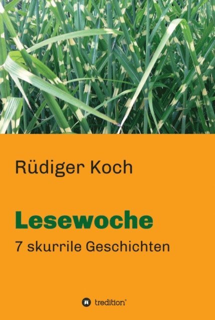 Rudiger Koch - Lesewoche, E-bok