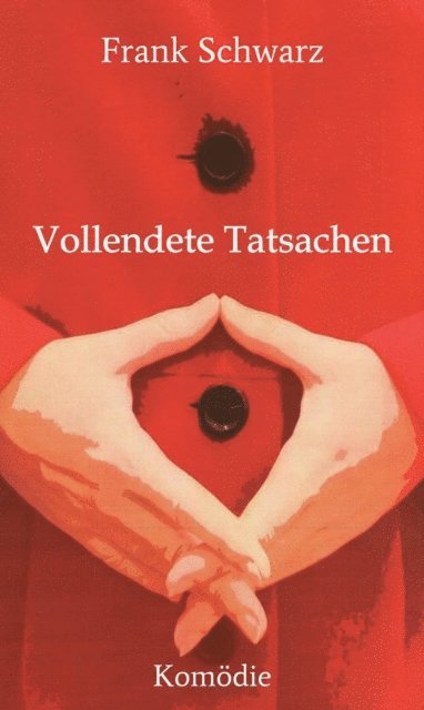Frank Schwarz - Vollendete Tatsachen, E-bok