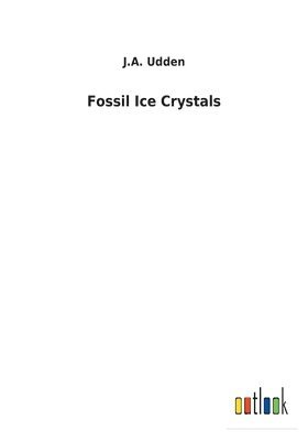 J a Udden - Fossil Ice Crystals, Häftad. Tillgänglighet: Lägg i varukorg