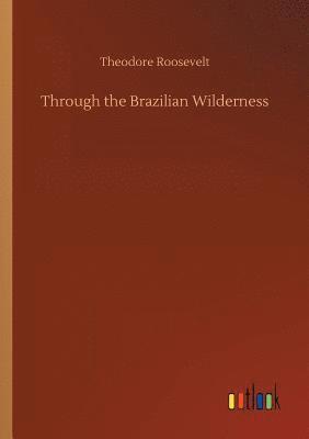 Theodore Roosevelt - Through the Brazilian Wilderness, Häftad