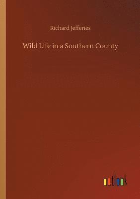 Richard Jefferies - Wild Life in a Southern County, Häftad