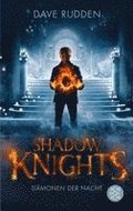 Shadow Knights - Dmonen der Nacht