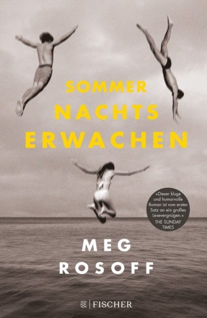Meg Rosoff - Sommernachtserwachen, E-bok