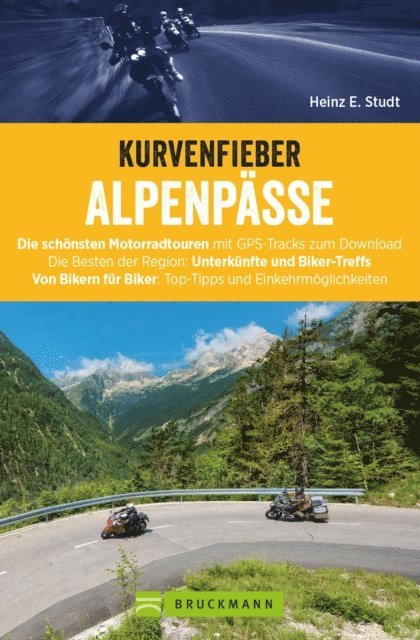 Heinz E. Studt - Kurvenfieber Alpenpässe: Motorradreiseführer für die Alpen, E-bok
