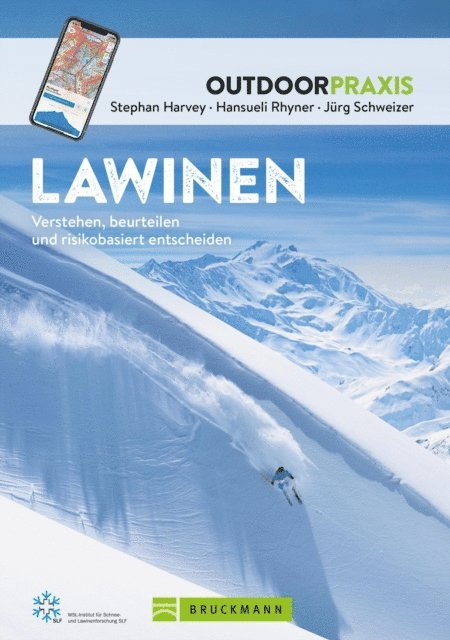 Jurg Schweizer, Hansueli Rhyner, Stephan Harvey - Lawinen, E-bok
