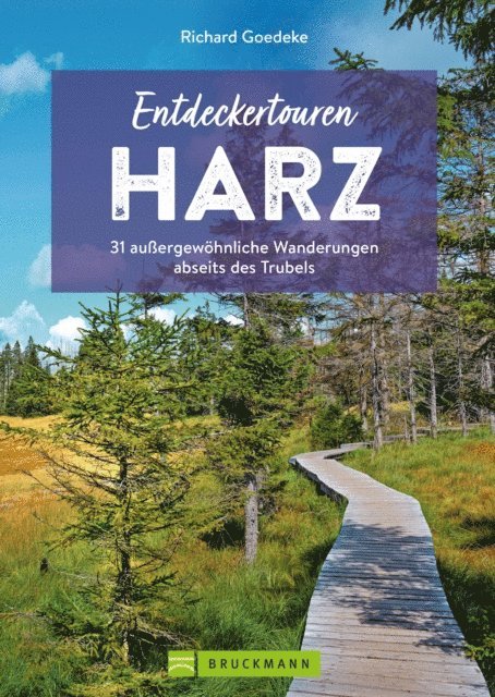 Richard Goedeke - Entdeckertouren Harz, E-bok
