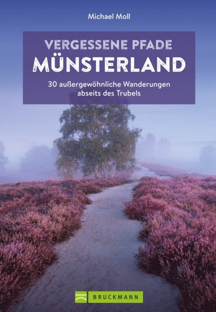 Michael Moll - Vergessene Pfade Münsterland, E-bok