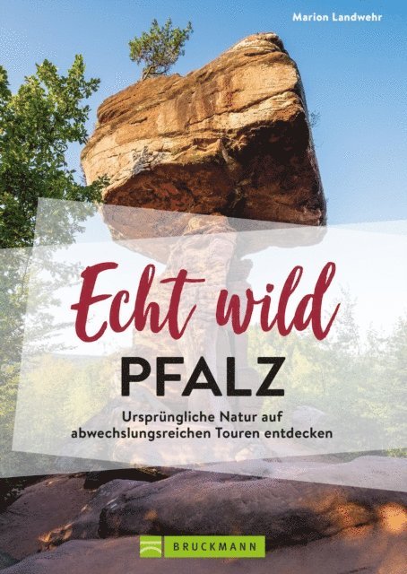 Marion Landwehr - Echt wild – Pfalz, E-bok