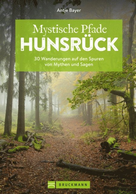 Antje Bayer - Mystische Pfade Hunsrück, E-bok
