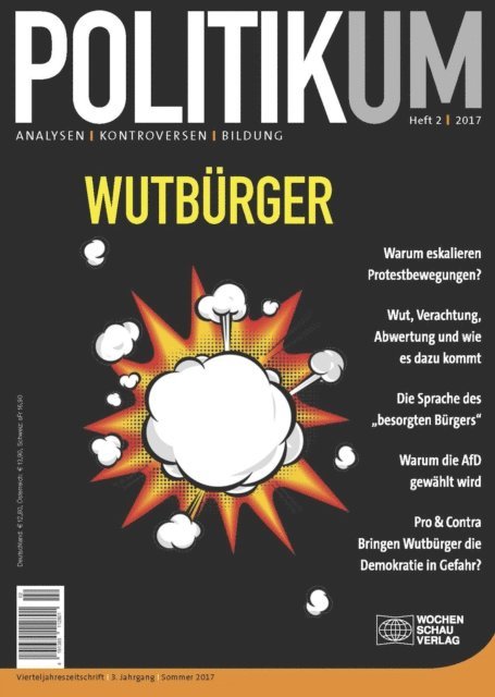 Peter Massing - Wutbürger, E-bok