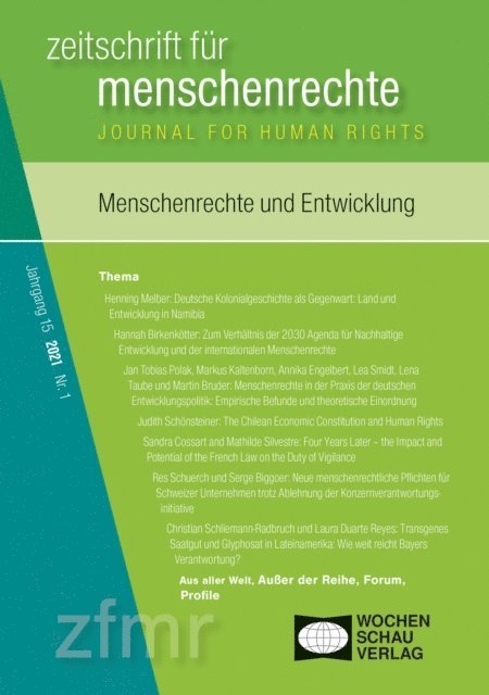 Stefan Weyers, Arnd Pollmann, Elisabeth Holzleithner, Tessa Debus, Christina Binder, Michael Krennerich - Menschenrechte und Entwicklung, E-bok