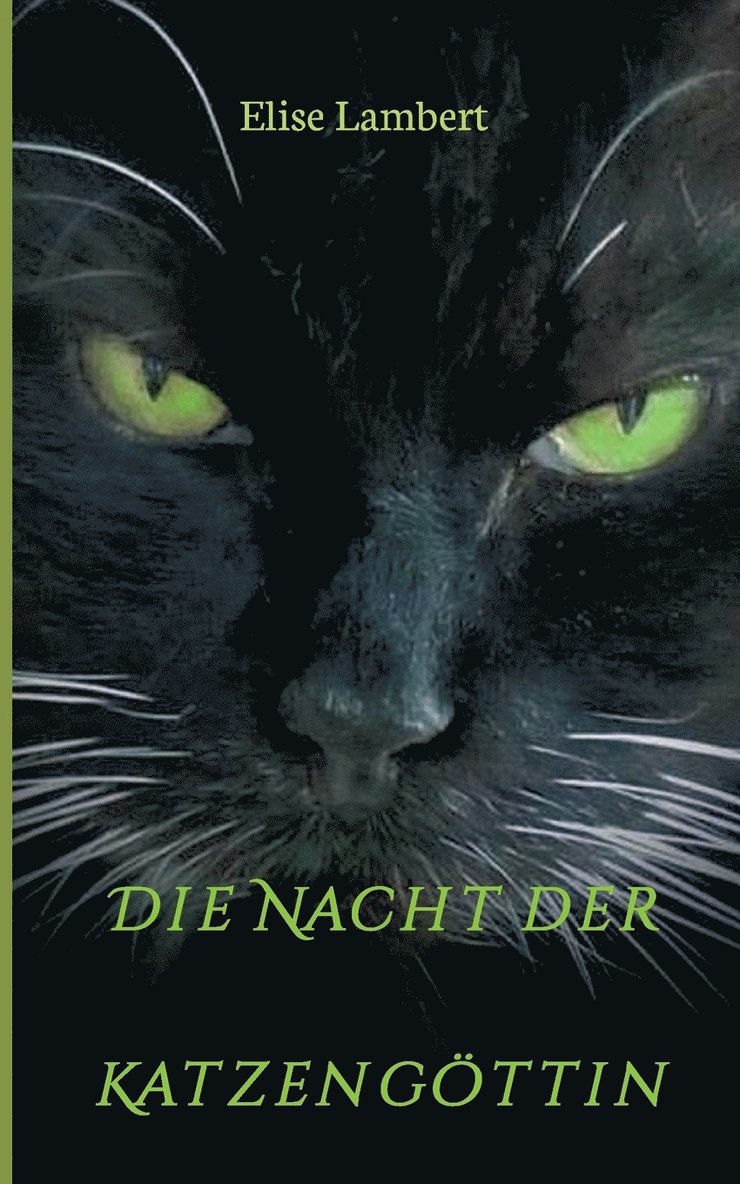 Elise Lambert - Die Nacht der Katzengöttin, Häftad