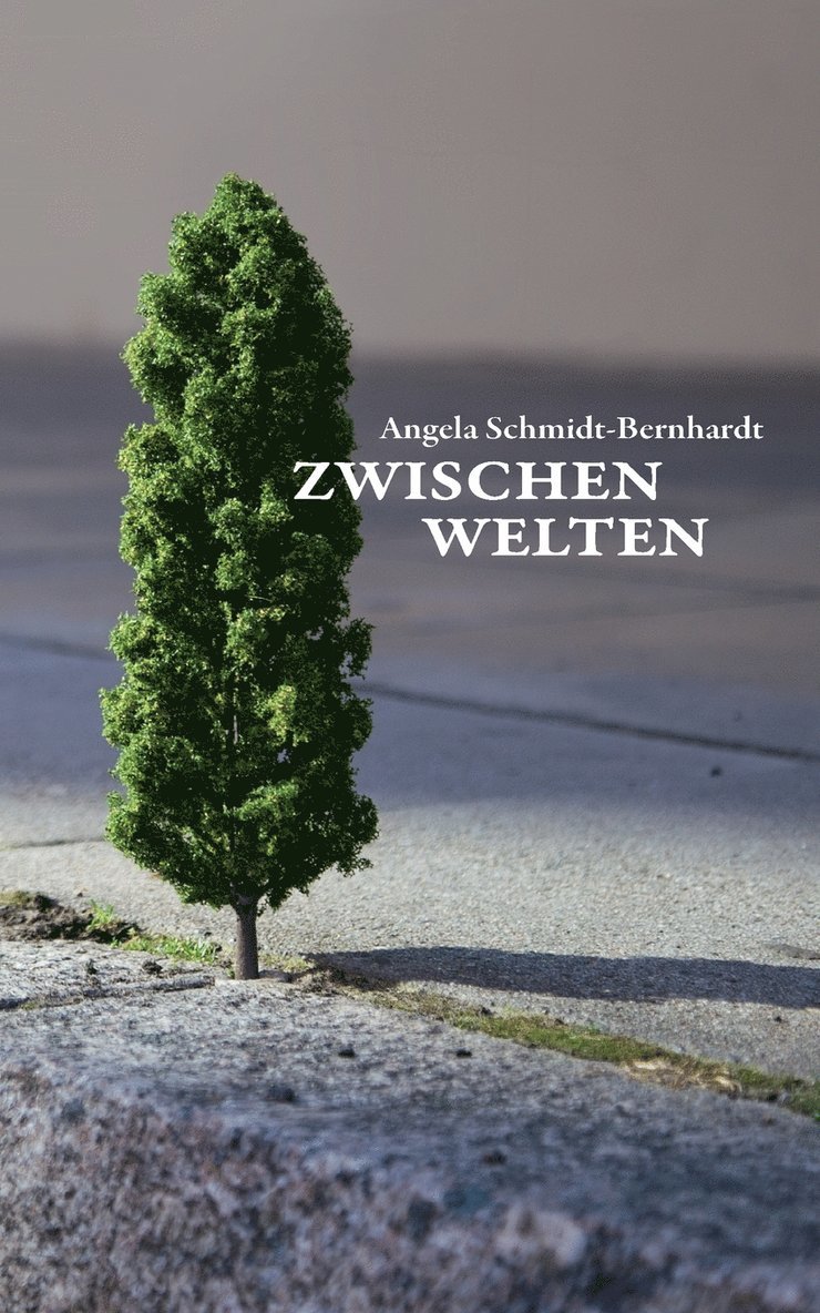 Angela Schmidt-Bernhardt - Zwischenwelten, Häftad