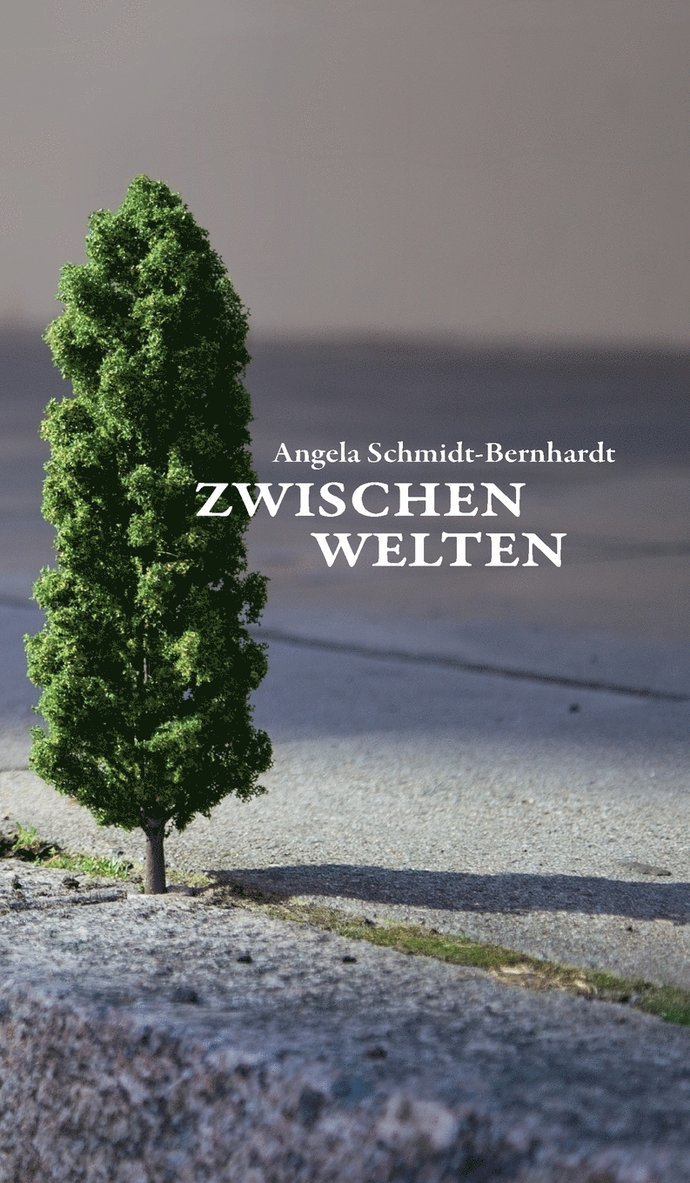Angela Schmidt-Bernhardt - Zwischenwelten, Inbunden