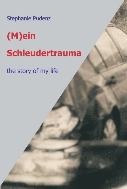 Stephanie Pudenz - (M)ein Schleudertrauma, E-bok