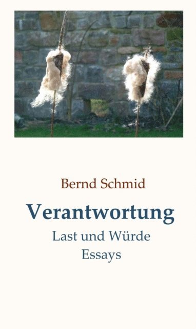 Bernd Schmid - Verantwortung, E-bok