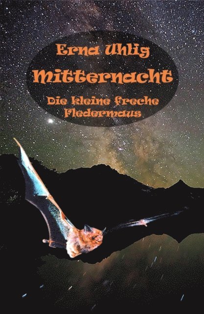 Erna Uhlig - Mitternacht, E-bok