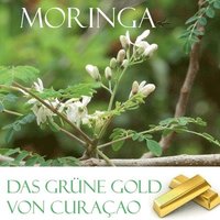 grüne Gold von Curacao