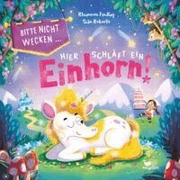 Rhiannon Findlay - Bitte nicht wecken ... Hier schläft ein Einhorn!, Inbunden