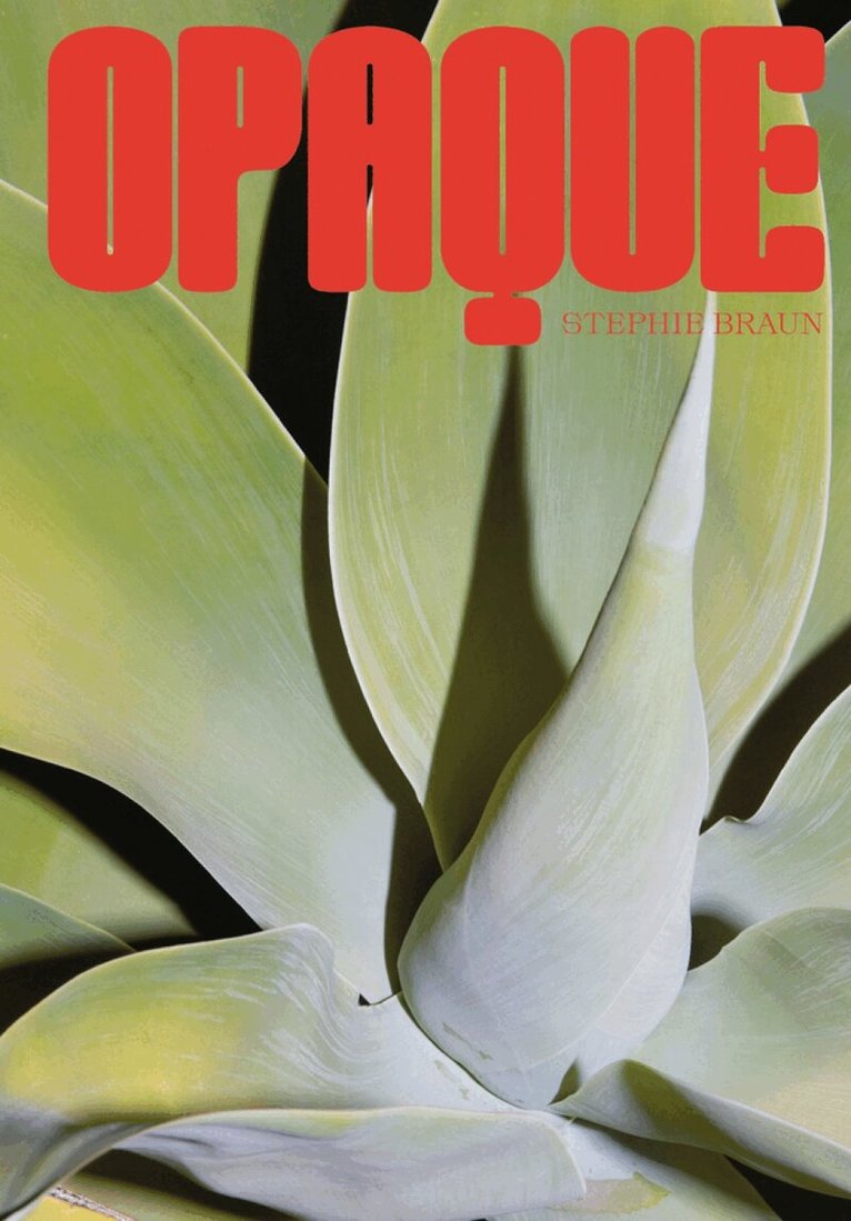 Stephie Braun - Stephie Braun, Häftad