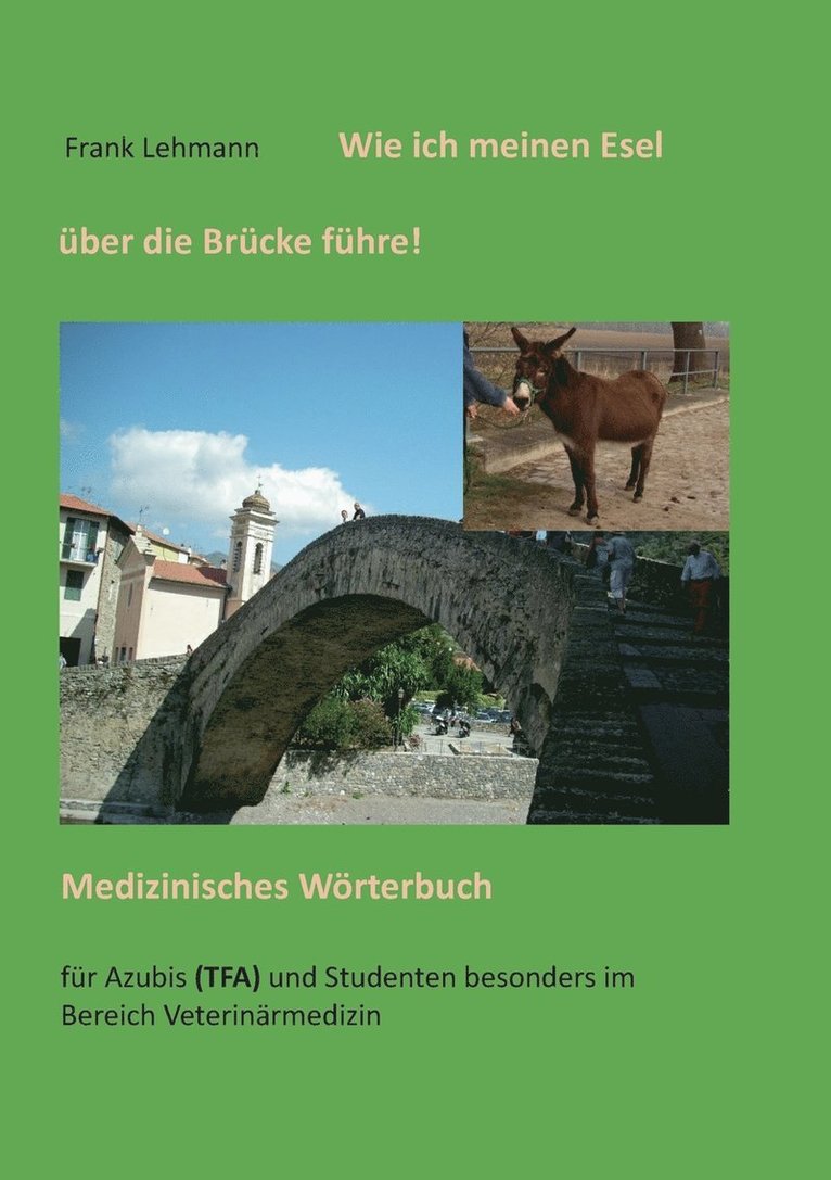 Frank Lehmann - Wie ich meinen Esel über die Brücke führe, Häftad