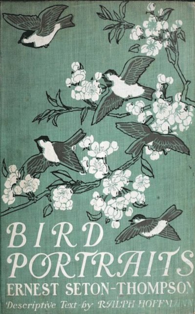 Ernest Thompson Seton - Bird Portraits, E-bok