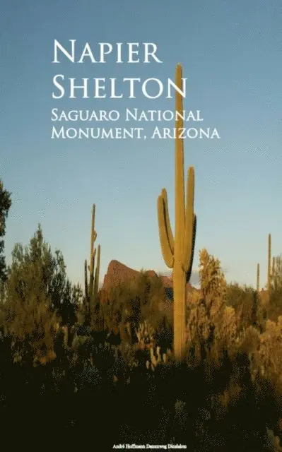 Napier Shelton - Saguaro National Monument, Arizona, E-bok. Tillgänglighet: Lägg i varukorg