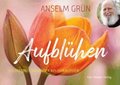 Aufbl�hen