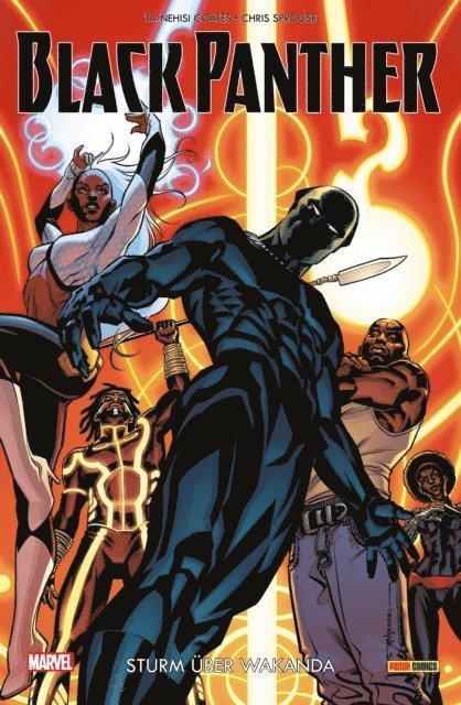 Ta-Nehisi Coates - Black Panther 2 -Sturm über Wakanda, E-bok
