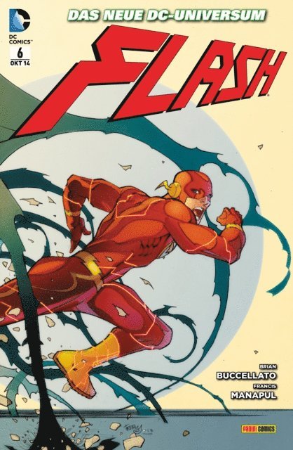 Brian Buccellato - Flash - Bd. 6: Geisterjagd in Central City, E-bok