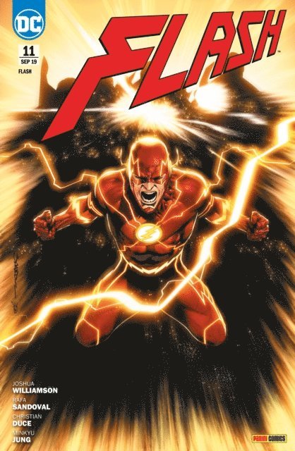 Joshua Willamson - Flash - Bd. 11 (2. Serie): Force-Quest, E-bok