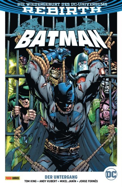 Tom King - Batman - Bd. 11 (2. Serie): Der Untergang, E-bok
