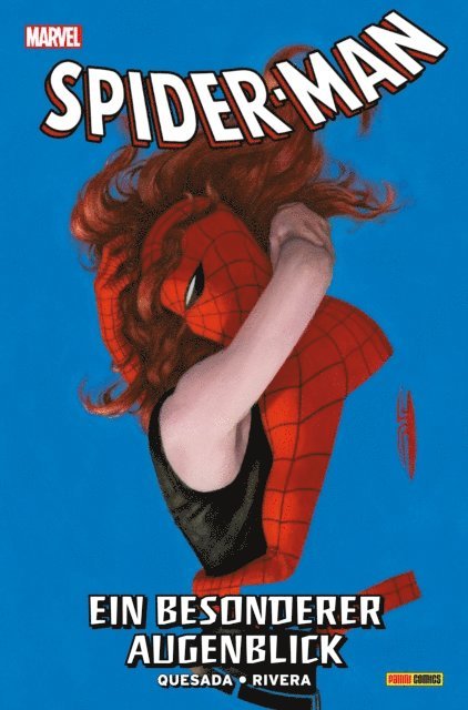 Joe Quesada - SPIDER-MAN - Ein Besonderer Augenblick, E-bok