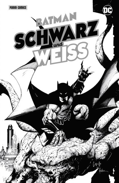 Paul Dini - Batman: Schwarz und Weiß, E-bok