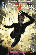Catwoman: Bd. 9: Auf der Flucht