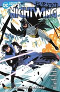 Nightwing - Bd. 2 (3. Serie): Herrschaft der Angst