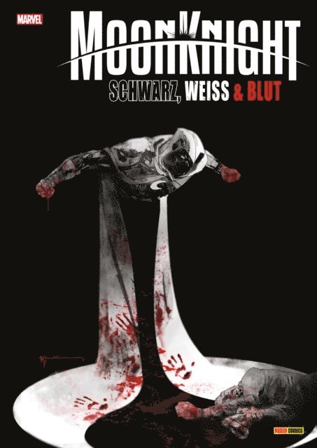 Ann Nocenti - MOON KNIGHT - SCHWARZ, WEISS, BLUT, E-bok