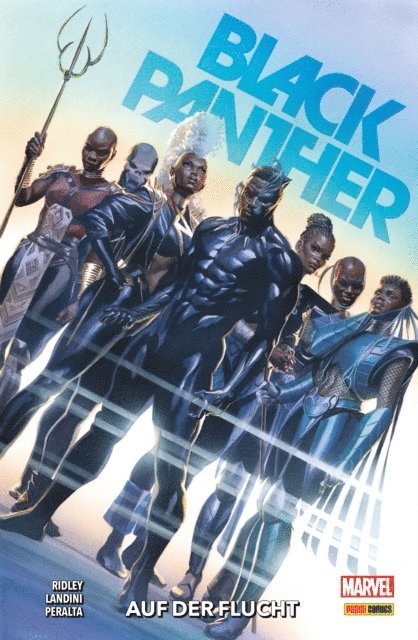 John Ridley - BLACK PANTHER 2 - AUF DER FLUCHT, E-bok