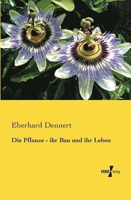 Eberhard Dennert - Pflanze - ihr Bau und ihr Leben, Häftad