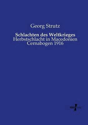 Georg Strutz - Schlachten des Weltkrieges, Häftad. Tillgänglighet: Lägg i varukorg