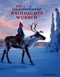 Ein wunderbarer Weihnachtswunsch