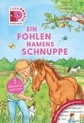 Leseprofis - GROSSBUCHSTABEN: EIN FOHLEN NAMENS SCHNUPPE, 1. Klasse
