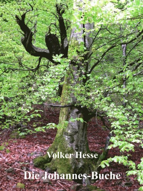 Volker Hesse - Die Johannes-Buche, E-bok