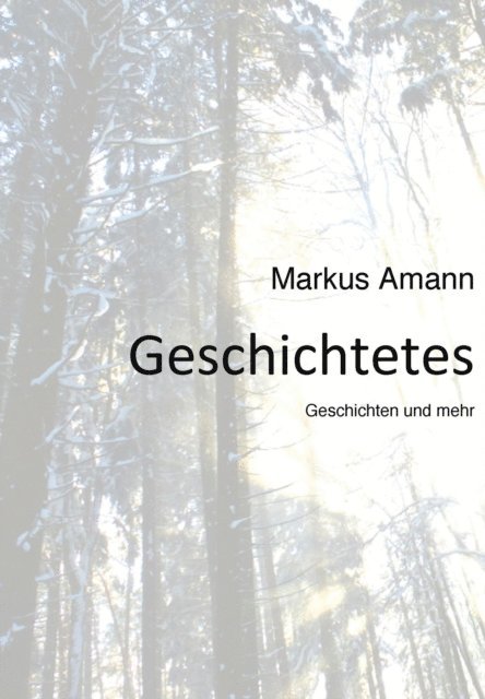 Markus Amann - Geschichtetes, E-bok