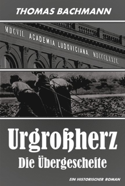 Thomas Bachmann - Urgroßherz, E-bok