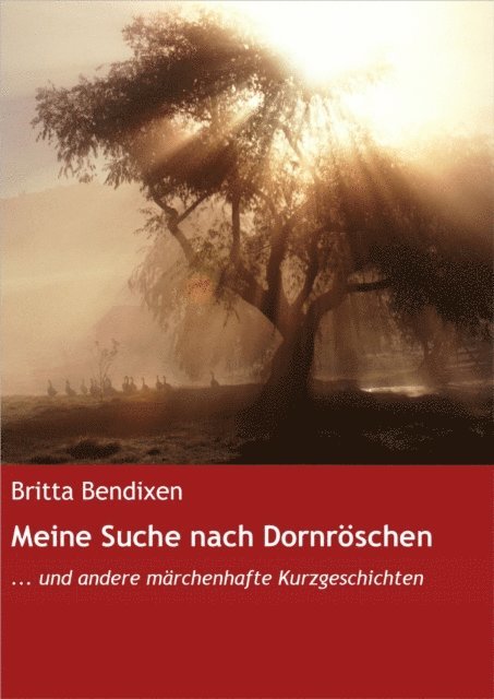 Britta Bendixen - Meine Suche nach Dornröschen, E-bok