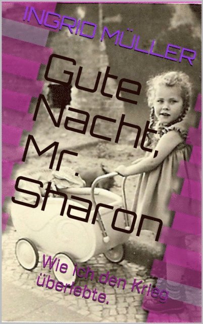 Ingrid Muller - Gute Nacht, Mr. Sharon, E-bok