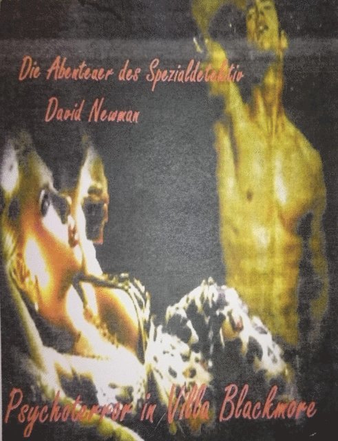 Martin Andree - Die Abenteuer des Spezialdetektiv David Newman, E-bok