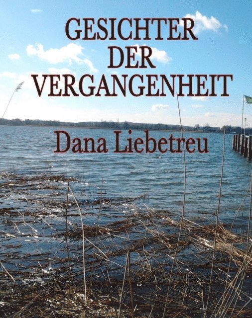 Dana Liebetreu - Gesichter der Vergangenheit, E-bok